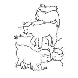 Раскраска: овца (Животные) #11431 - Бесплатные раскраски для печати