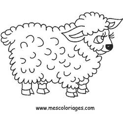 Раскраска: овца (Животные) #11438 - Бесплатные раскраски для печати