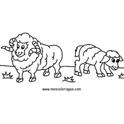 Раскраска: овца (Животные) #11456 - Бесплатные раскраски для печати