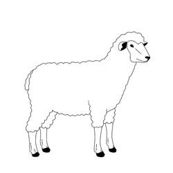 Раскраска: овца (Животные) #11471 - Бесплатные раскраски для печати