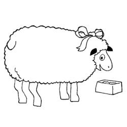 Раскраска: овца (Животные) #11499 - Бесплатные раскраски для печати