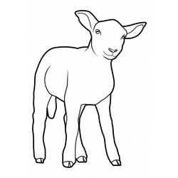 Раскраска: овца (Животные) #11502 - Бесплатные раскраски для печати