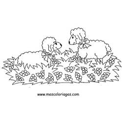 Раскраска: овца (Животные) #11516 - Бесплатные раскраски для печати