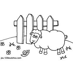 Раскраска: овца (Животные) #11539 - Бесплатные раскраски для печати
