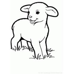 Раскраска: овца (Животные) #11548 - Бесплатные раскраски для печати