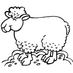 Раскраска: овца (Животные) #11571 - Бесплатные раскраски для печати