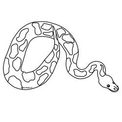 Раскраска: змея (Животные) #14352 - Бесплатные раскраски для печати