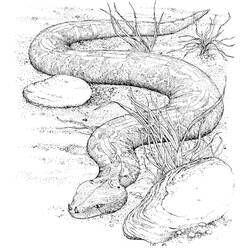 Раскраска: змея (Животные) #14355 - Бесплатные раскраски для печати