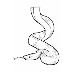 Раскраска: змея (Животные) #14382 - Бесплатные раскраски для печати