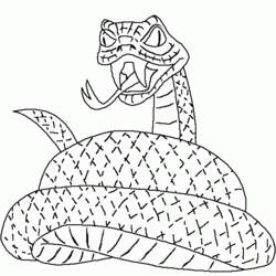 Раскраска: змея (Животные) #14383 - Бесплатные раскраски для печати