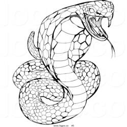 Раскраска: змея (Животные) #14388 - Бесплатные раскраски для печати