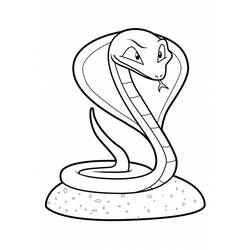 Раскраска: змея (Животные) #14397 - Бесплатные раскраски для печати