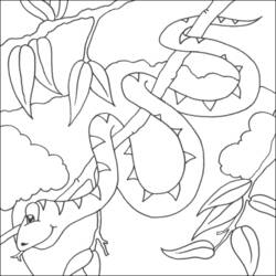 Раскраска: змея (Животные) #14405 - Бесплатные раскраски для печати