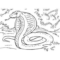 Раскраска: змея (Животные) #14445 - Бесплатные раскраски для печати