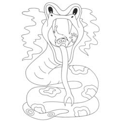 Раскраска: змея (Животные) #14450 - Бесплатные раскраски для печати