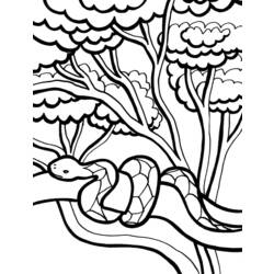 Раскраска: змея (Животные) #14453 - Бесплатные раскраски для печати
