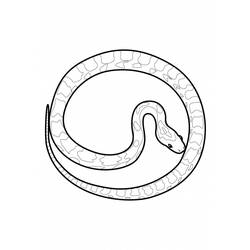 Раскраска: змея (Животные) #14482 - Бесплатные раскраски для печати