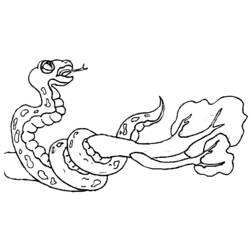 Раскраска: змея (Животные) #14502 - Бесплатные раскраски для печати