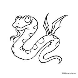 Раскраска: змея (Животные) #14515 - Бесплатные раскраски для печати