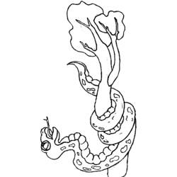Раскраска: змея (Животные) #14525 - Бесплатные раскраски для печати