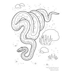 Раскраска: змея (Животные) #14529 - Бесплатные раскраски для печати