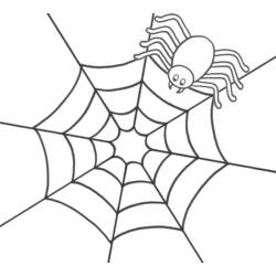 Раскраска: паук (Животные) #578 - Бесплатные раскраски для печати