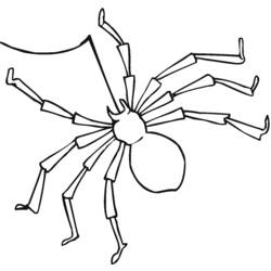 Раскраска: паук (Животные) #597 - Бесплатные раскраски для печати