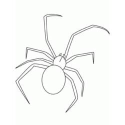Раскраска: паук (Животные) #613 - Бесплатные раскраски для печати