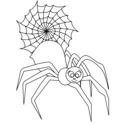 Раскраска: паук (Животные) #630 - Бесплатные раскраски для печати