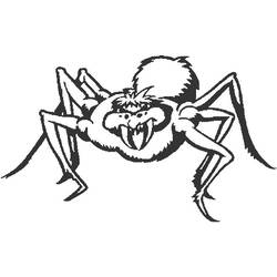 Раскраска: паук (Животные) #635 - Бесплатные раскраски для печати