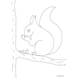 Раскраска: белка (Животные) #6211 - Бесплатные раскраски для печати