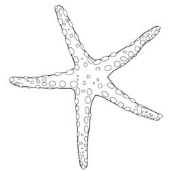 Раскраска: морская звезда (Животные) #6703 - Бесплатные раскраски для печати