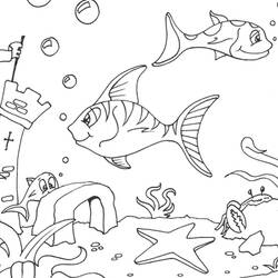 Раскраска: морская звезда (Животные) #6707 - Бесплатные раскраски для печати