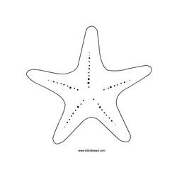 Раскраски: морская звезда - Бесплатные раскраски для печати