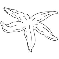 Раскраска: морская звезда (Животные) #6713 - Бесплатные раскраски для печати