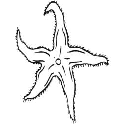 Раскраска: морская звезда (Животные) #6716 - Бесплатные раскраски для печати
