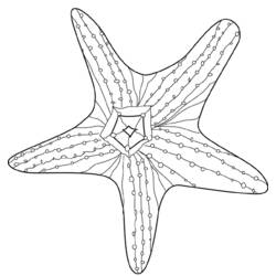 Раскраска: морская звезда (Животные) #6744 - Бесплатные раскраски для печати