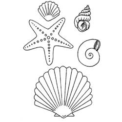Раскраска: морская звезда (Животные) #6794 - Бесплатные раскраски для печати