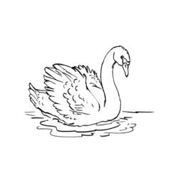 Раскраска: лебедь (Животные) #4992 - Бесплатные раскраски для печати