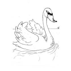 Раскраска: лебедь (Животные) #5000 - Бесплатные раскраски для печати