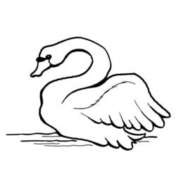 Раскраска: лебедь (Животные) #5002 - Бесплатные раскраски для печати