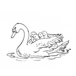 Раскраска: лебедь (Животные) #5012 - Бесплатные раскраски для печати