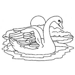 Раскраска: лебедь (Животные) #5014 - Бесплатные раскраски для печати