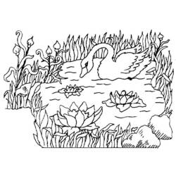 Раскраска: лебедь (Животные) #5019 - Бесплатные раскраски для печати