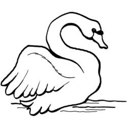 Раскраска: лебедь (Животные) #5033 - Бесплатные раскраски для печати