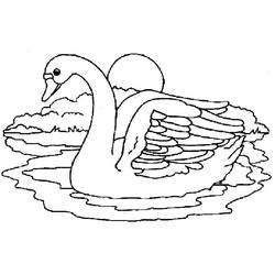 Раскраска: лебедь (Животные) #5055 - Бесплатные раскраски для печати