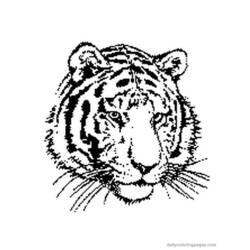 Раскраска: Tigris (Животные) #13592 - Бесплатные раскраски для печати