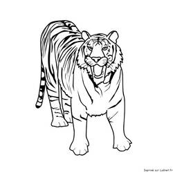 Раскраска: Tigris (Животные) #13595 - Бесплатные раскраски для печати