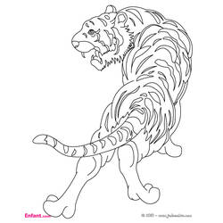 Раскраска: Tigris (Животные) #13600 - Бесплатные раскраски для печати