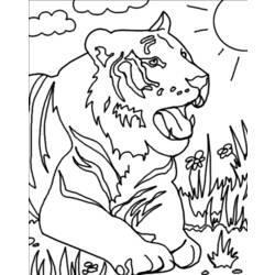Раскраска: Tigris (Животные) #13602 - Бесплатные раскраски для печати